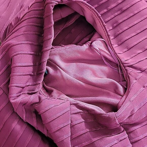 BRAND NEW GABBY SKYE SLEEVELESS ROUNDNECK LINE GOLD ZIP CLOSURE  DRESS - Picture 13 of 15